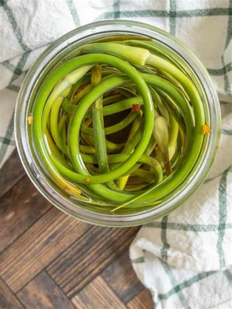 Pickled Garlic Scapes Recipe Stetted