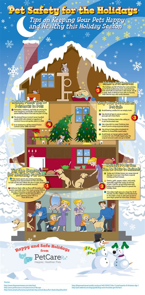 Pet Safety For The Holidays Infographic Petcarerx