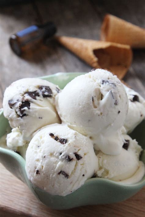 Mint Chocolate Chip Ice Cream Natural Chow