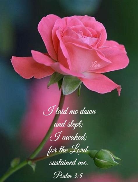 I pray you'll be encouraged and take hope in god's power, even use these timeless bible verses about praising god in your prayers until your heart can find its own words. Pin on Flowers & Verses