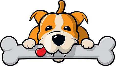 Dog Bone Clipart At Getdrawings Free Download