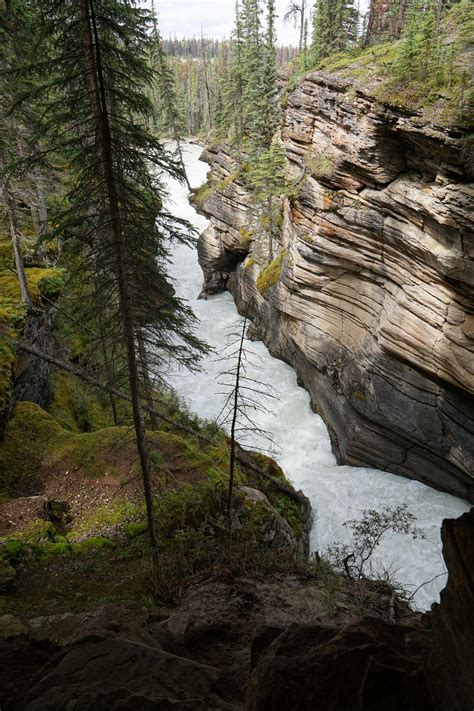 The Gorge Athabasca Falls Jasper National Park Road Trip Ryan