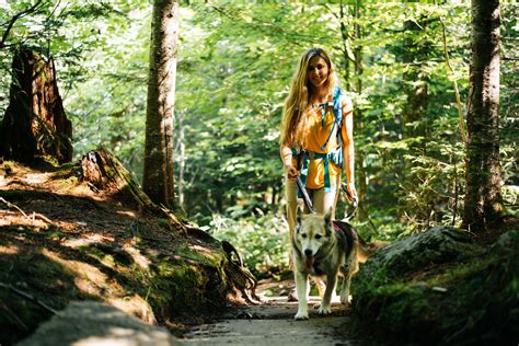 When Can Dogs Start Hiking