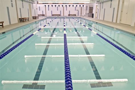 The most standard lap pool size according to swimming pool ideas is 75 feet which allows swimmers to complete a full 25 yard lap backyard with lap pool and stepping stones. 25 yard lap pool | Lap pool, Pool, Yard