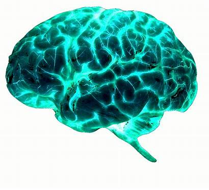 Thinking Brain Mental Deviantart Preservar Consejos Seis