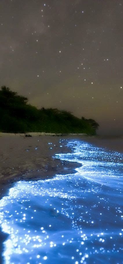 Bioluminescent Phytoplankton Maldives Beach Road Trip Places