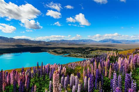 Nuova Zelanda Quando Andare E Cosa Vedere