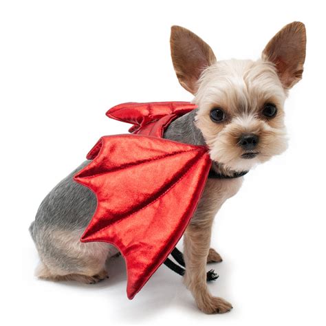 Dragon Wings Dog Halloween Costume Puplife Dog Supplies