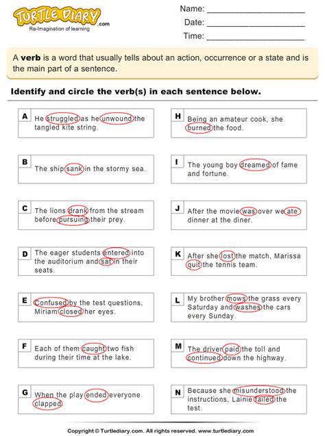 Circle The Verb In The Sentence