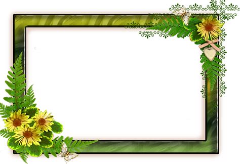 Png Frame With Flowers On A Transparent Background 1200 X 1376