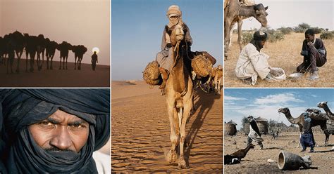 Find the perfect silk road trade camel stock photo. Caravans of Salt - Tuareg Trade Routes in Niger