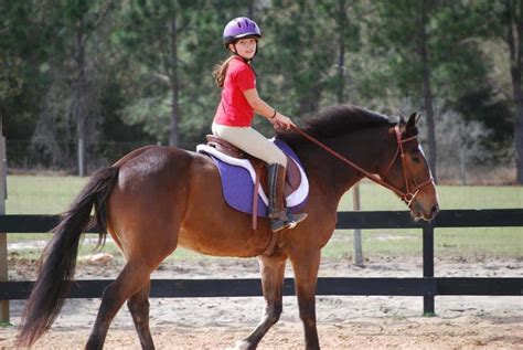 684 likes · 1 talking about this · 596 were here. Trigg County Riding Club Horse Show - Lake Barkley and ...