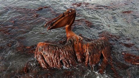 Deepwater Horizon 10 Years After The Gulf Oil Spill Flipboard