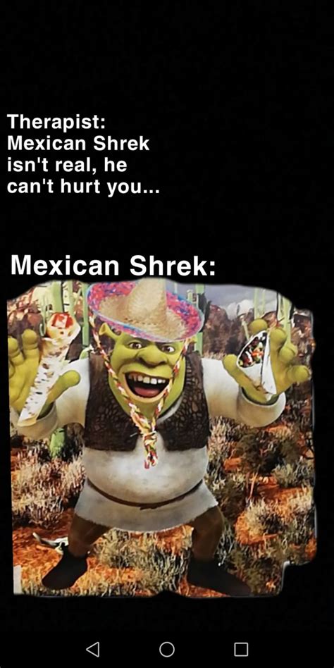 Mexican Shrek Rmeme