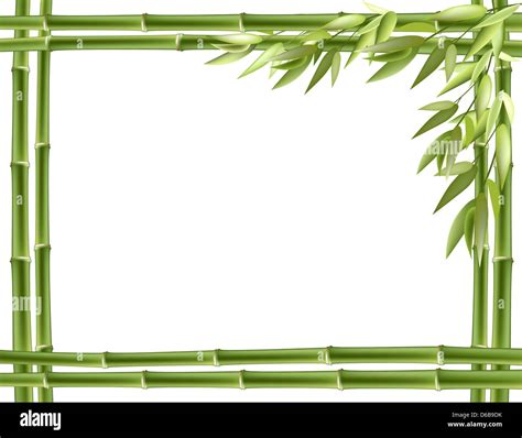 Bamboo Frame Vector Background Stock Photo Alamy