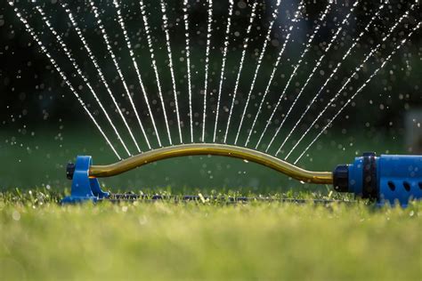 Watering Lawn When And How Is Best