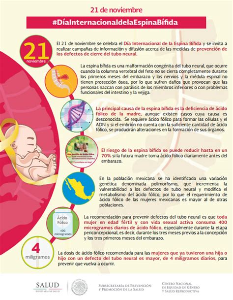 Infografía Día Internacional De La Espína Bífida Centro Nacional De