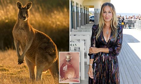 Why A Crazed Kangaroo Attacked Woman Jogger News Without Politics