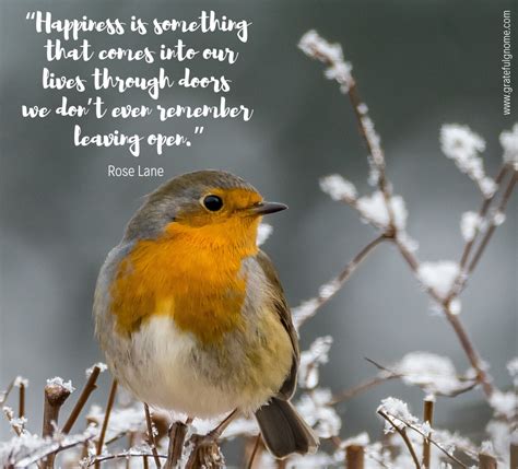 Happiness Quotes Happy Quotes Beautiful Words Happiness Meaning