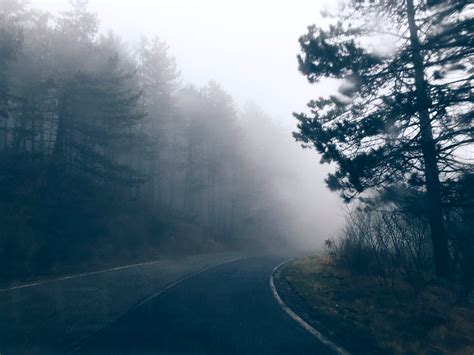 Everything You Need To Know About Fog Photography