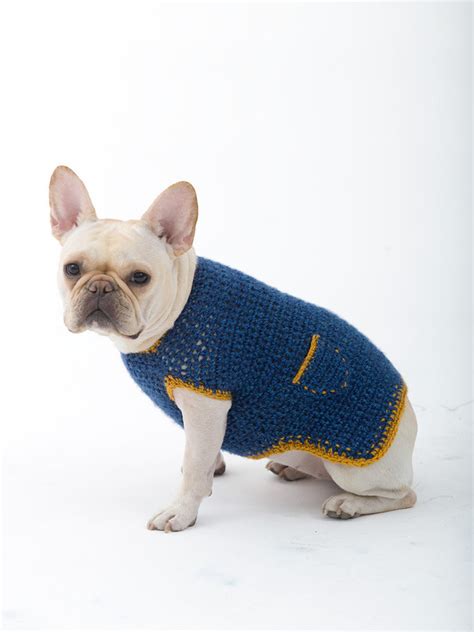 Casual Friday Dog Sweater In Lion Brand Heartland L32352