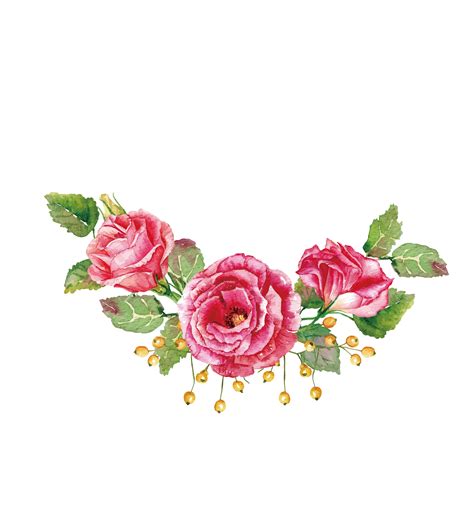 Roses Vector Png Roses Vector Png Transparent Free For Download On