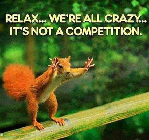 Pin By Jennifer Hammond On Squirrels Weird Quotes Funny Funny