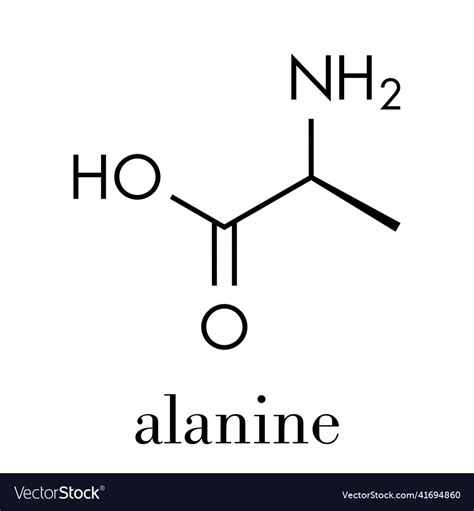 Alanine L Alanine Ala A Amino Acid Molecule Vector Image