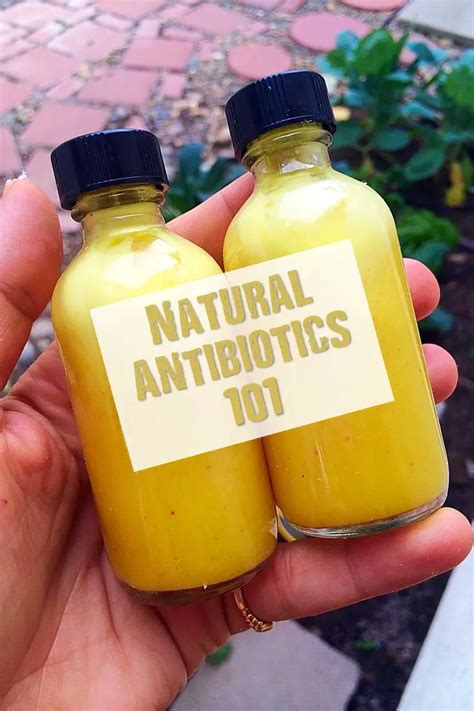 Natural Antibiotics 101 Shtfpreparedness