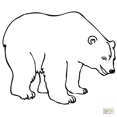 Coloring Page Of Polar Bear Coloring Pages