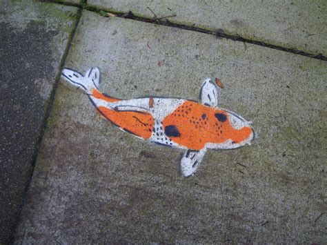 Orange Catfish Imgp9206 Mytripsandraces Flickr