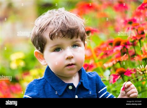 Little Boy Standing In Flower Garden Holds A Flower Stock Photo Alamy