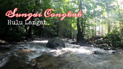 There are a bunch of spots one can visit and get their fill of the refreshing and lovely gabai river, sungai tekala recreation forest and sungai congkak recreational forest are some places that those who enjoy taking a dip in the river. Berkelah dengan keluarga di Sungai Congkak Park & Resort ...