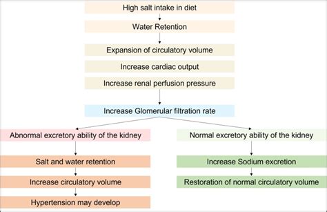 Salt And Hypertension Current Views