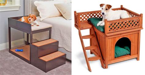 These Amazing Lofted Dog Beds Are Perfect For Pooches That Hog Your Bed
