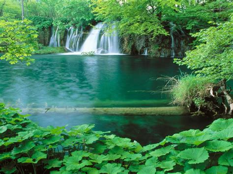 Plitvice Hd Wallpaper Of Nature In 0394652