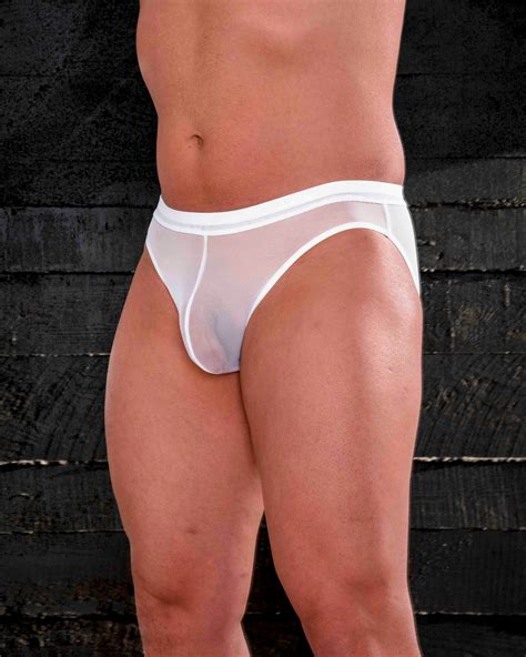 Mens Sheer Panties Briefs Gay Panties Underwear Faflingerie Etsy UK