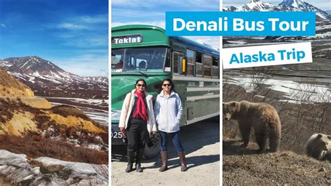 Denali Bus Tour Denali National Park And Preserve Alaska Trip Youtube