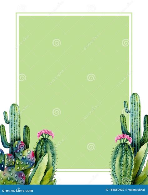 Template With Watercolor Cacti Colorful Illustration With Frame Stock
