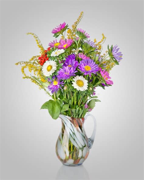 Colorful Asters Bouquet In Vase Stock Photo Image Of Plant Aster