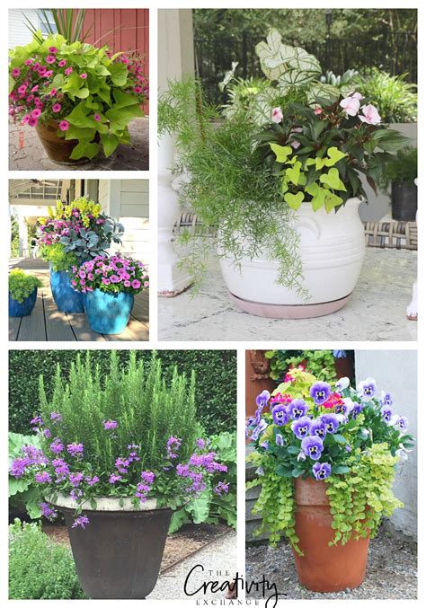 Gorgeous outdoor plants in pots ideas. Creative Spring Garden Pots and Planters