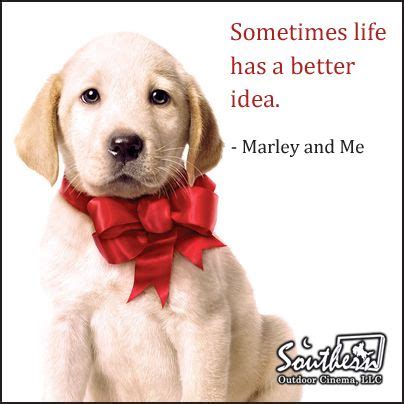This poster is printed on high quality paper and features outstanding color and a high level of detail. Marley And Me Book Quotes. QuotesGram