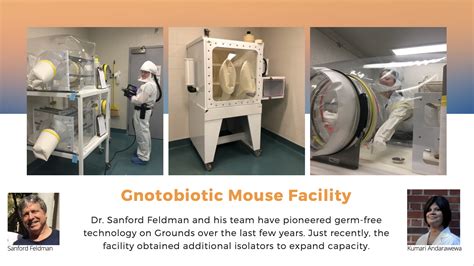 Gnotobiotic Germ Free Animal Facility Transuniversity Microbiome