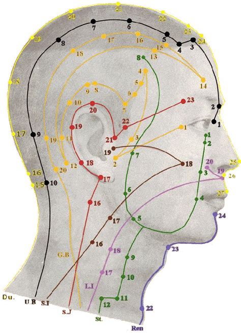 head acupuncture points chart