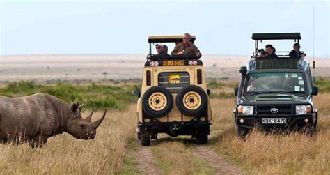 4 Days Masai Mara Lake Nakuru Camping Safari Big Time Safaris