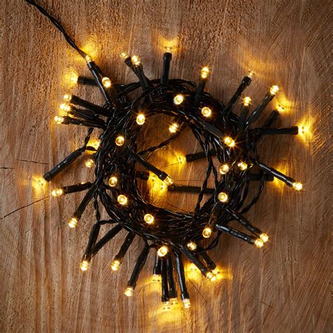 Battery Operated 50 Warm White Led String Lights Departments Diy At Bandq