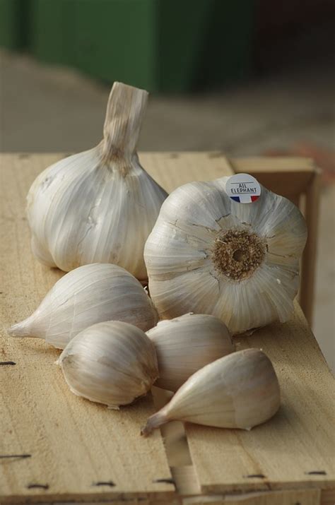 Garlic has antimicrobial properties that help kill germs and bacteria, which are responsible for causing damage to the sc. Garlic Supplement Benefits For Hair Growth | Hair to Adore