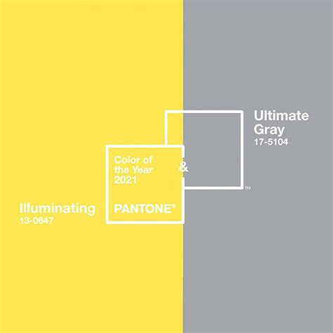 Ultimate Gray Illuminating Pantone Presentó El Color Del 2021