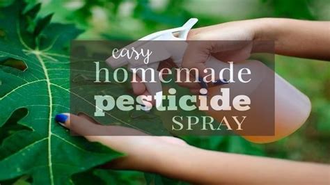 This Homemade Organic Pesticide Recipe Is So Effective You Can Get Rid