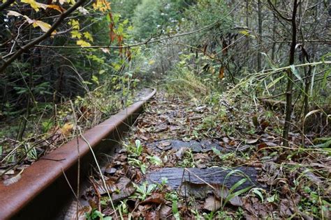 Port Of Tillamook Bay Abandoned Railroad Hike Salmonberry River